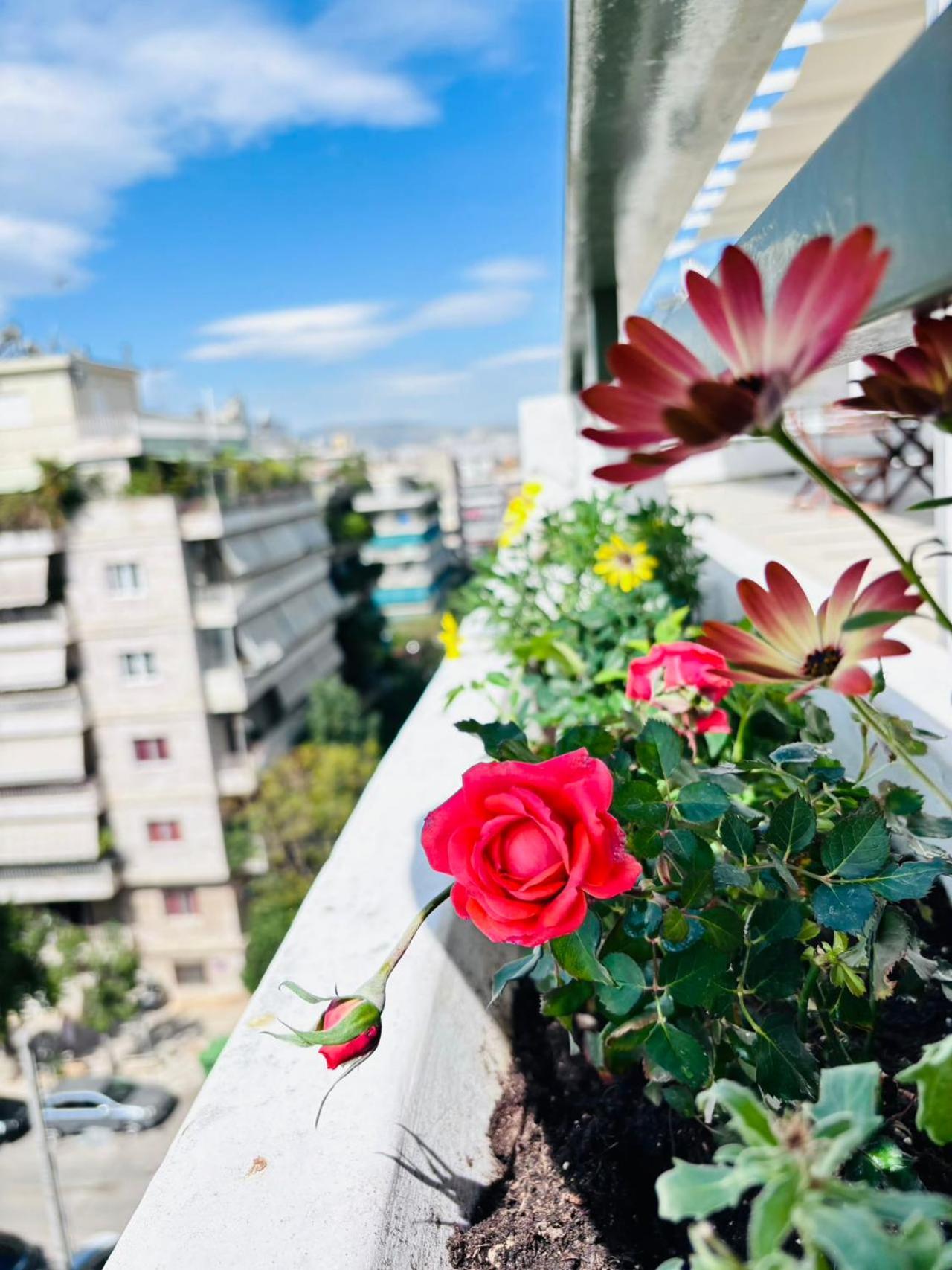 Quiet House-athens Center 100 Meters Balcony On The Floor Apartment Athen
